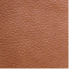 Illustrative image of Leather